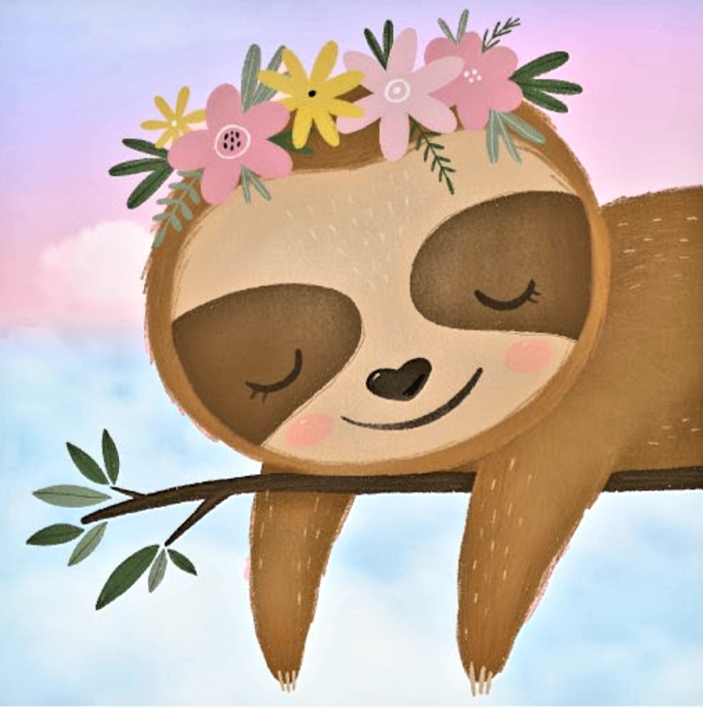kids- sleeping sloth
